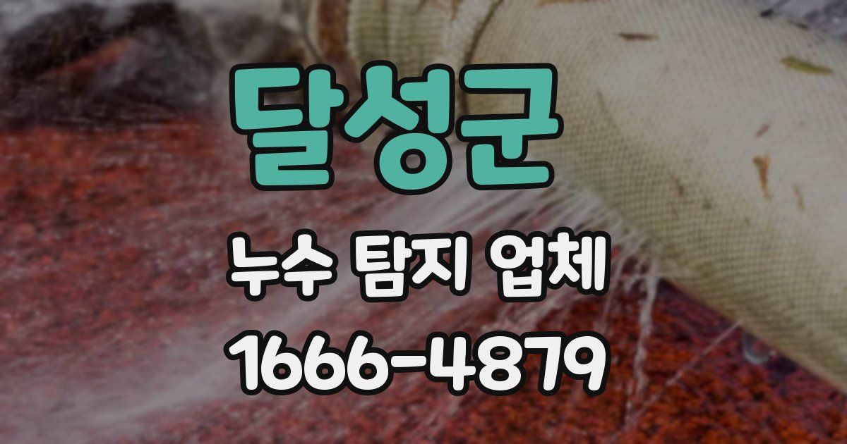 달성군 누수 탐지 업체