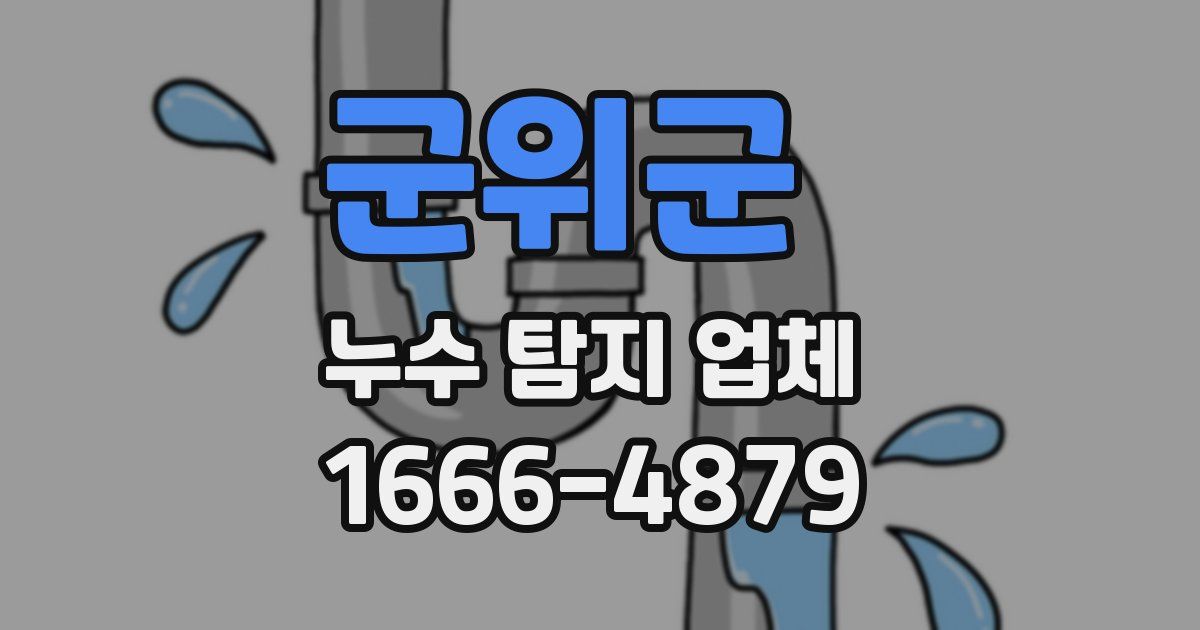 군위군 누수 탐지 업체