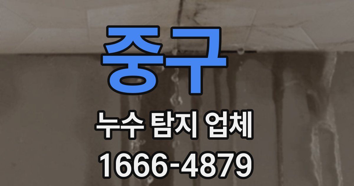 중구 누수 탐지 업체