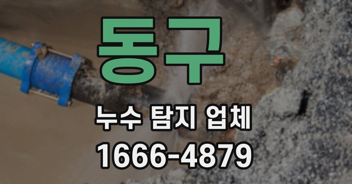 동구 누수 탐지 업체