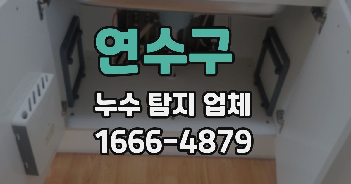 연수구 누수 탐지 업체