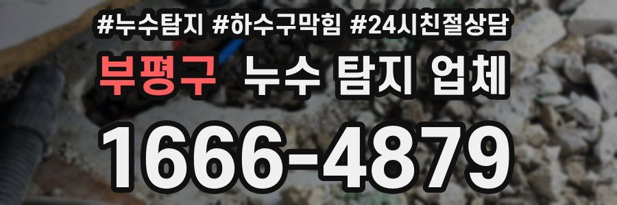 부평구 누수 탐지 업체