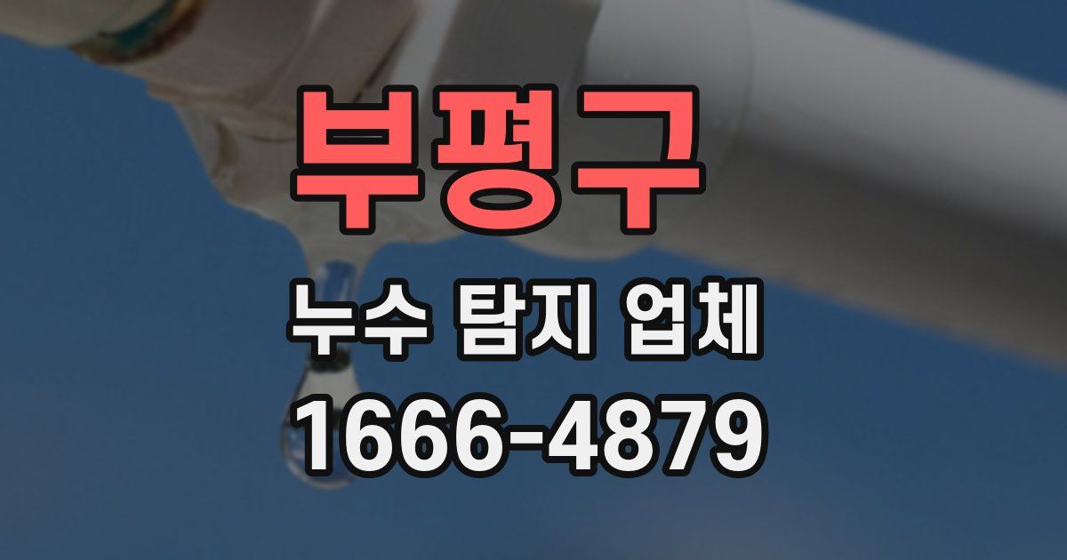 부평구 누수 탐지 업체