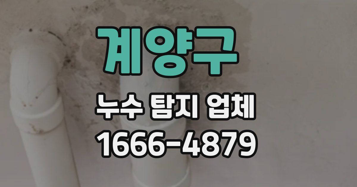 계양구 누수 탐지 업체
