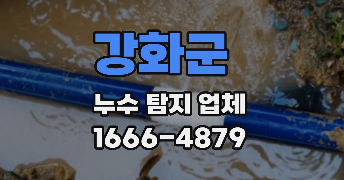 강화군 누수 탐지 업체