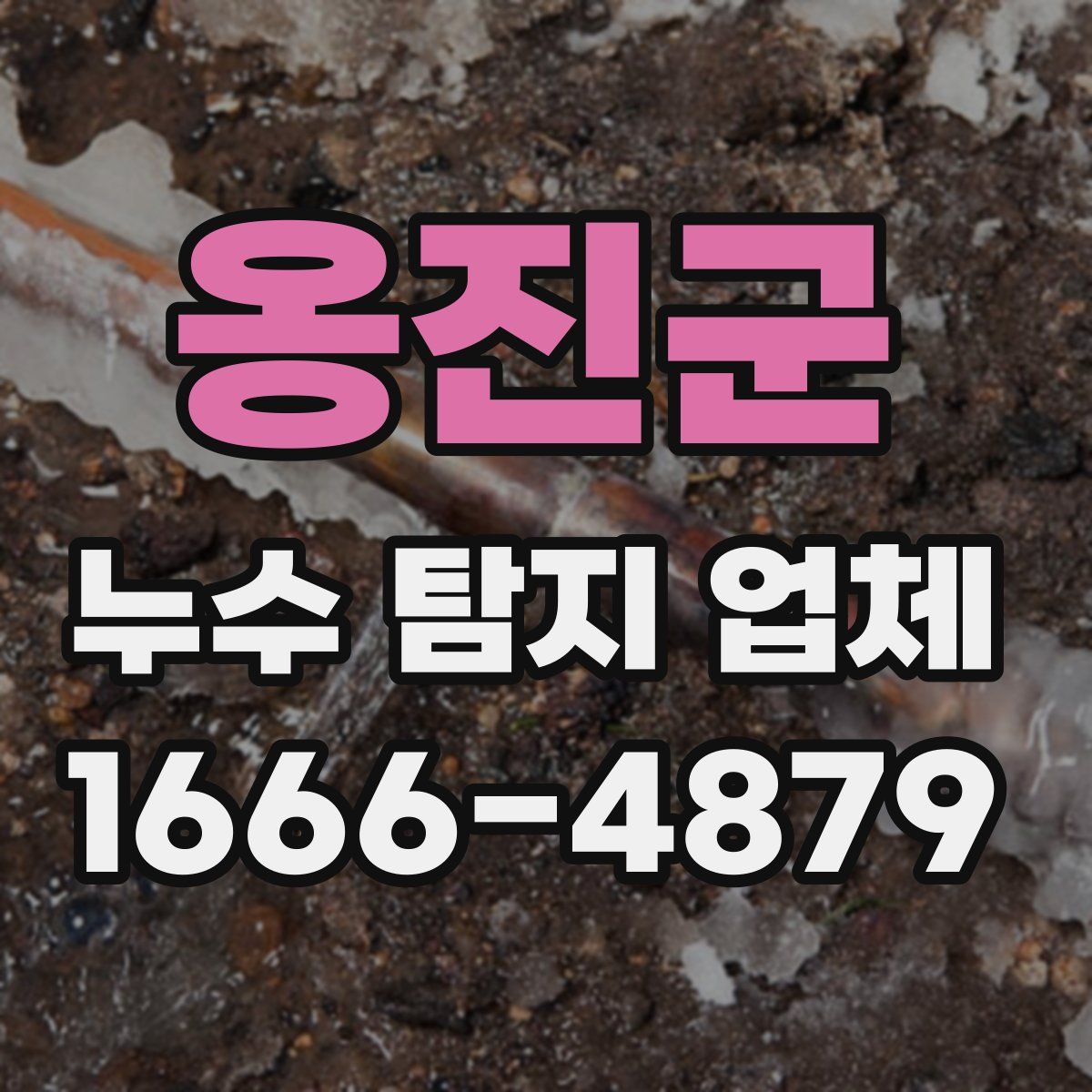 옹진군 누수 탐지 업체