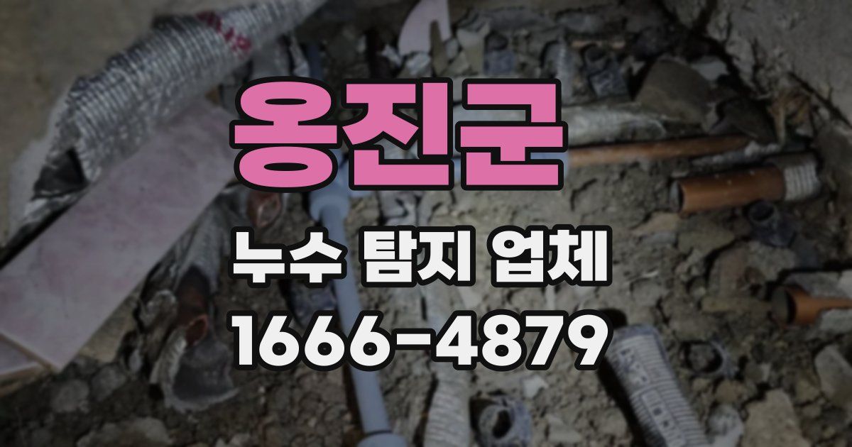 옹진군 누수 탐지 업체