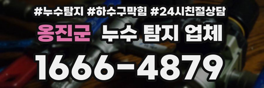 옹진군 누수 탐지 업체