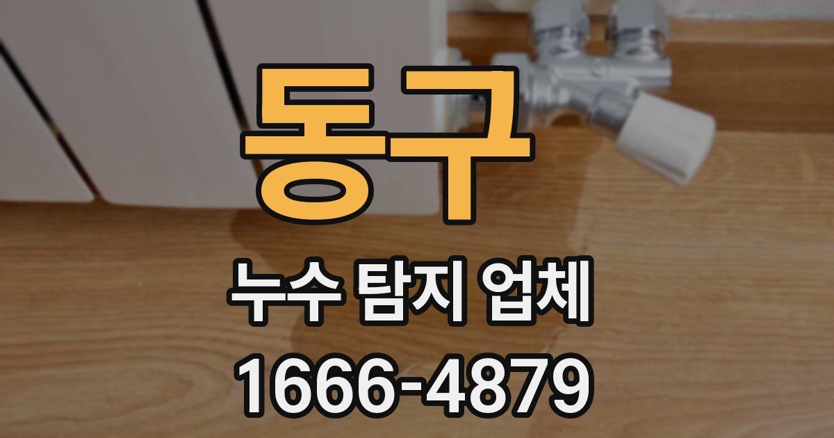 동구 누수 탐지 업체