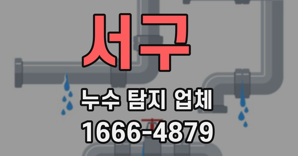 서구 누수 탐지 업체