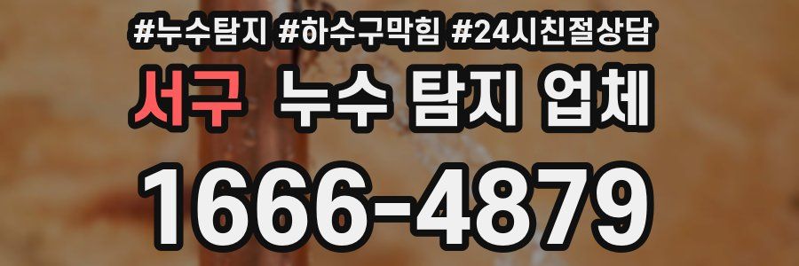 서구 누수 탐지 업체