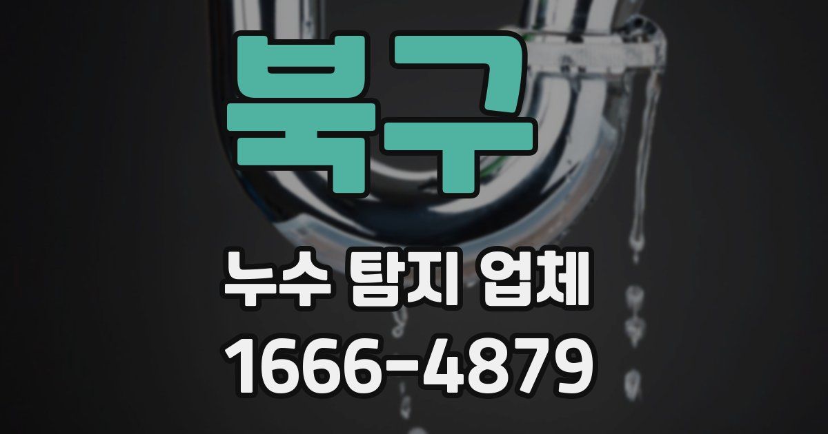 북구 누수 탐지 업체
