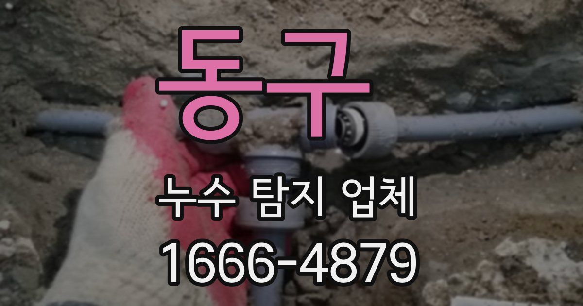 동구 누수 탐지 업체