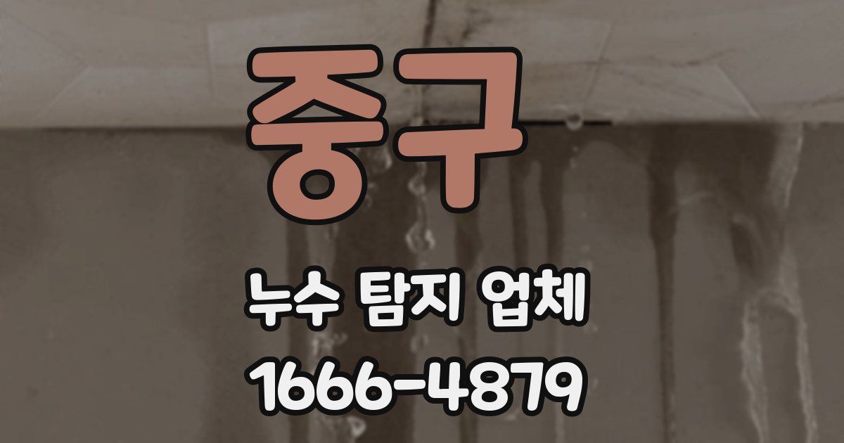 중구 누수 탐지 업체