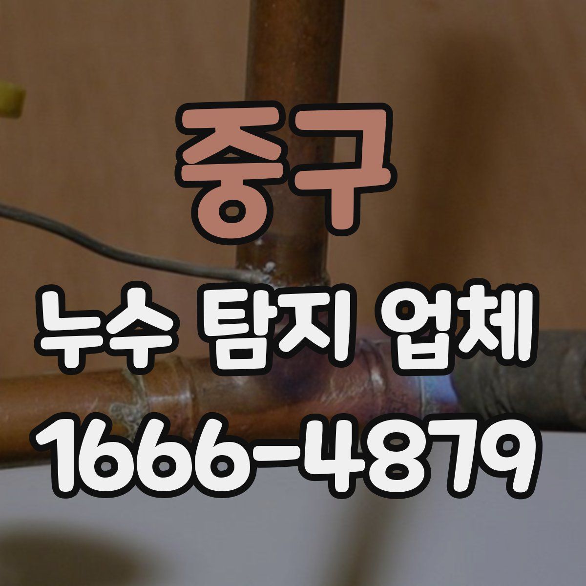 중구 누수 탐지 업체