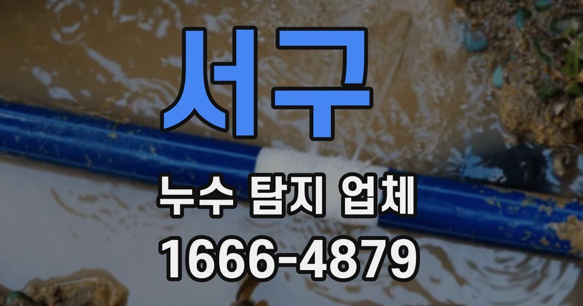 서구 누수 탐지 업체
