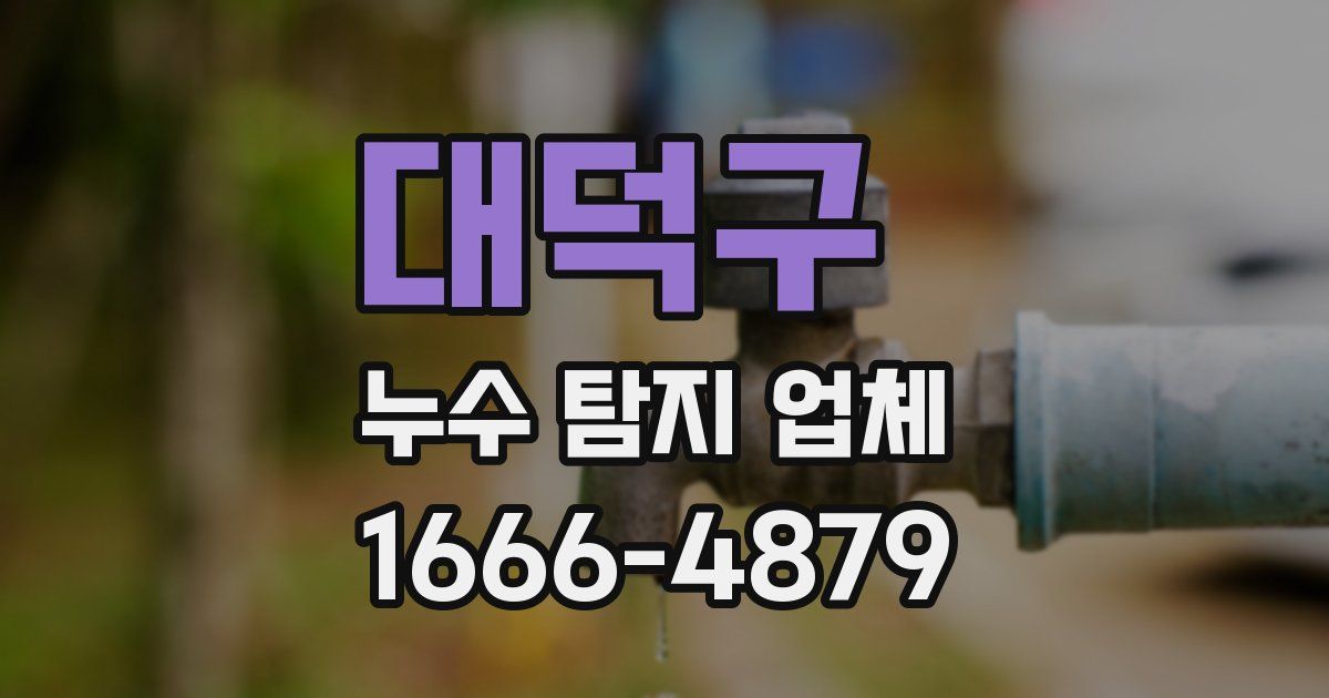대덕구 누수 탐지 업체