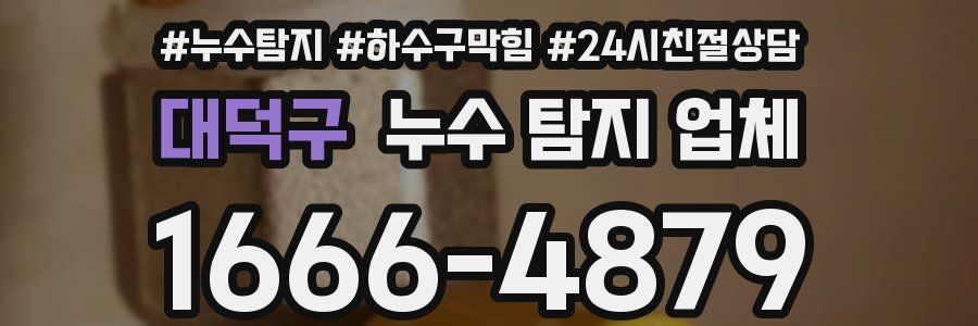 대덕구 누수 탐지 업체
