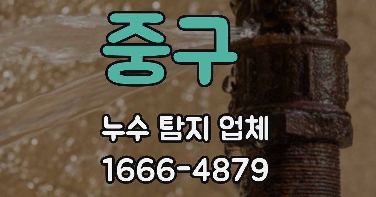 중구 누수 탐지 업체