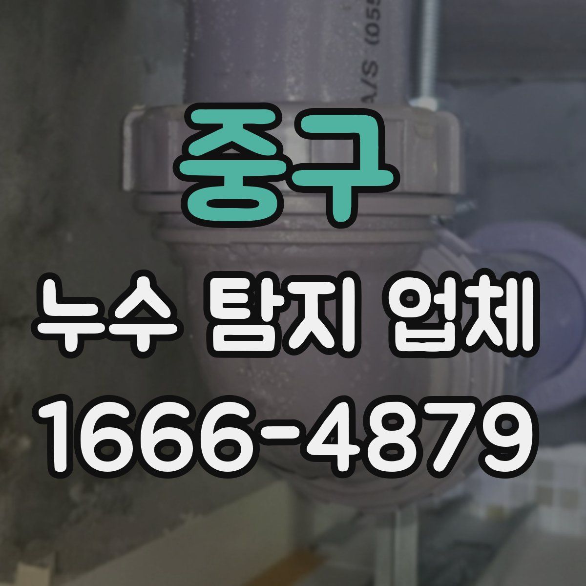 중구 누수 탐지 업체