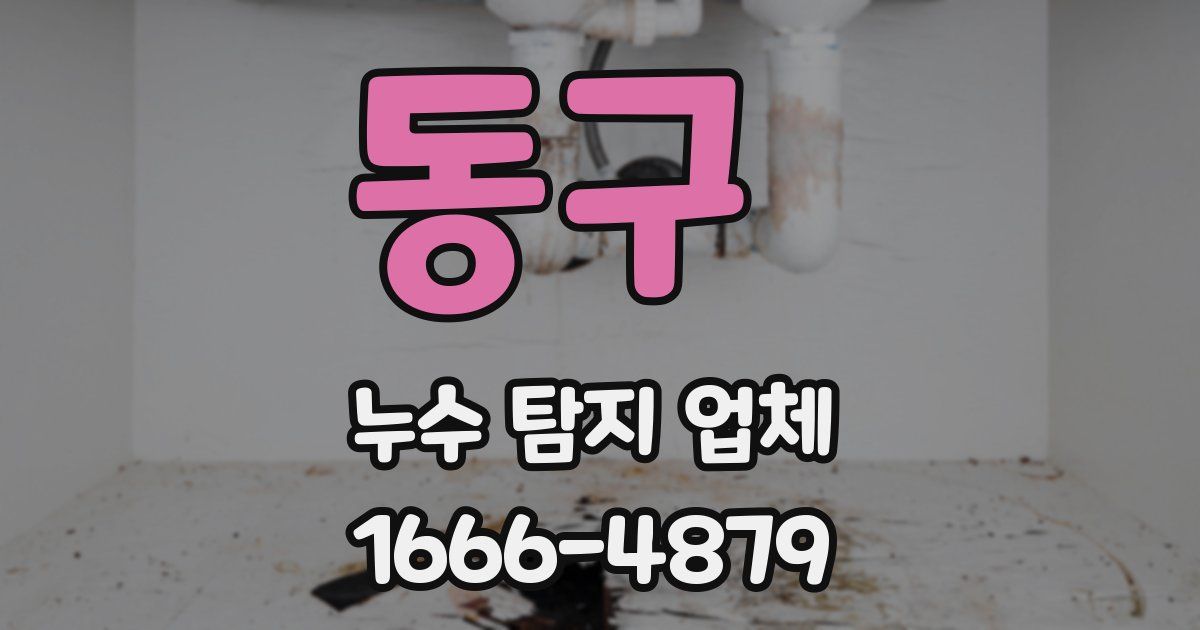 동구 누수 탐지 업체