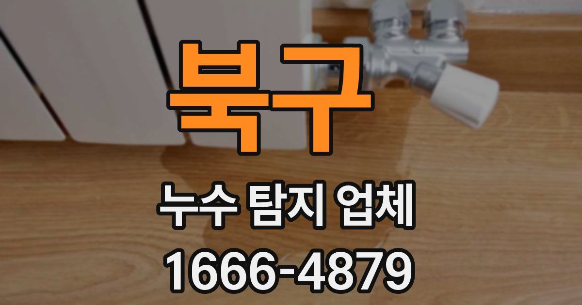 북구 누수 탐지 업체