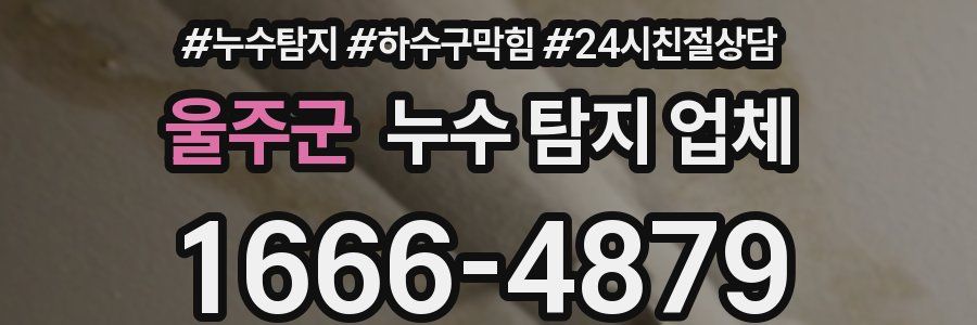 울주군 누수 탐지 업체