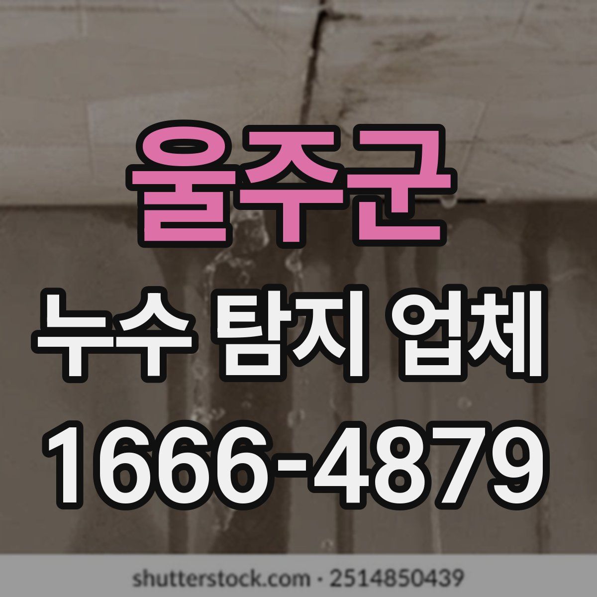 울주군 누수 탐지 업체