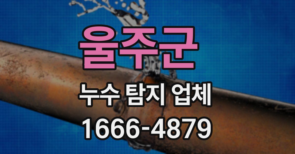 울주군 누수 탐지 업체
