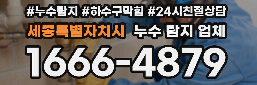 세종특별자치시 누수 탐지 업체