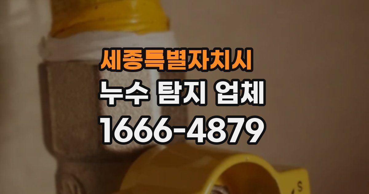세종특별자치시 누수 탐지 업체