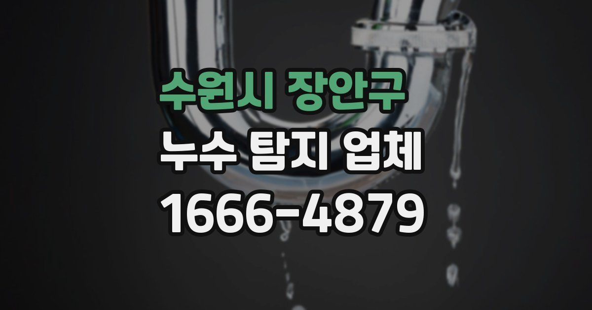 수원시 장안구 누수 탐지 업체