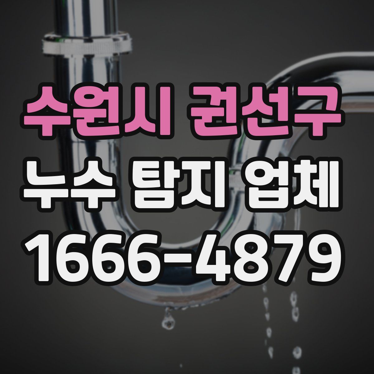 수원시 권선구 누수 탐지 업체