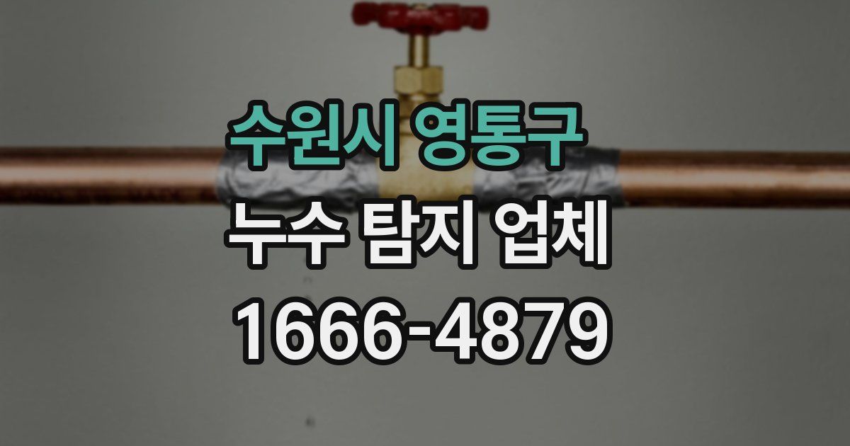 수원시 영통구 누수 탐지 업체