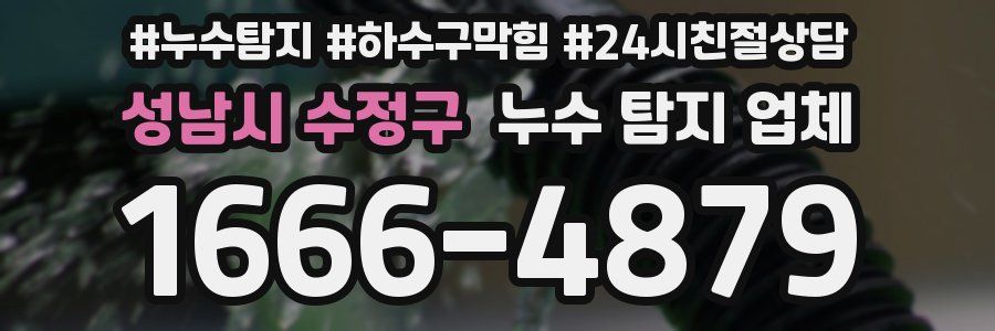 성남시 수정구 누수 탐지 업체