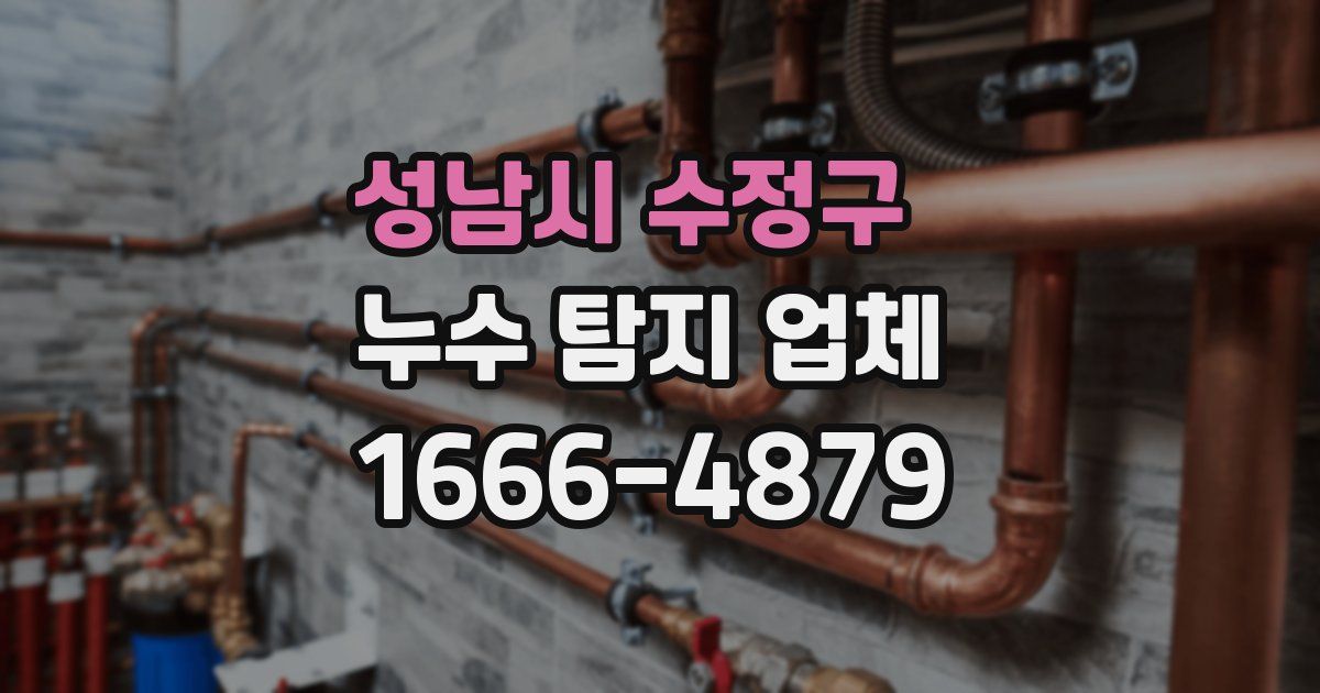 성남시 수정구 누수 탐지 업체