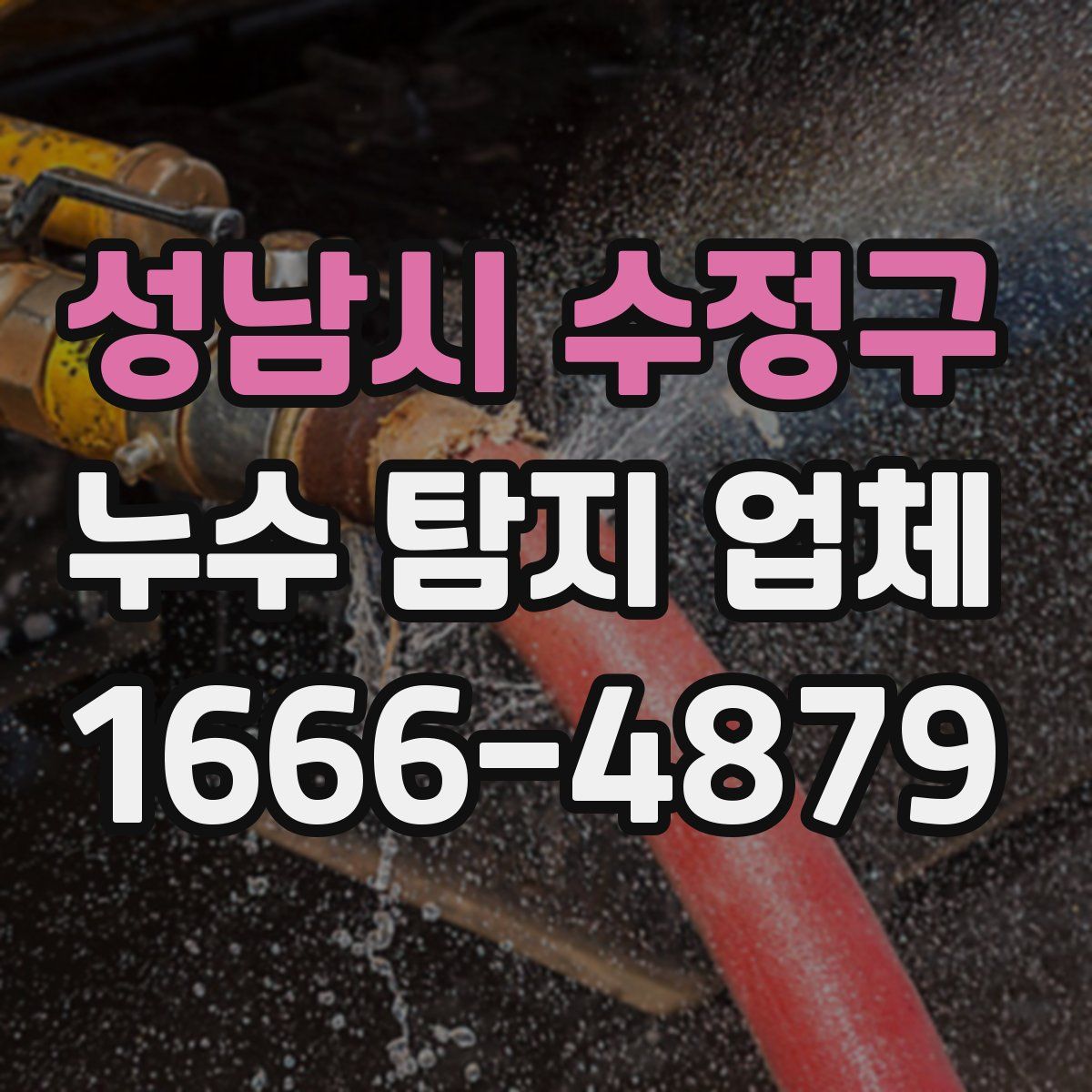 성남시 수정구 누수 탐지 업체