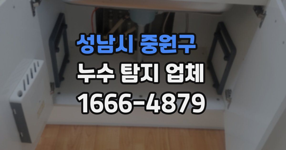 성남시 중원구 누수 탐지 업체