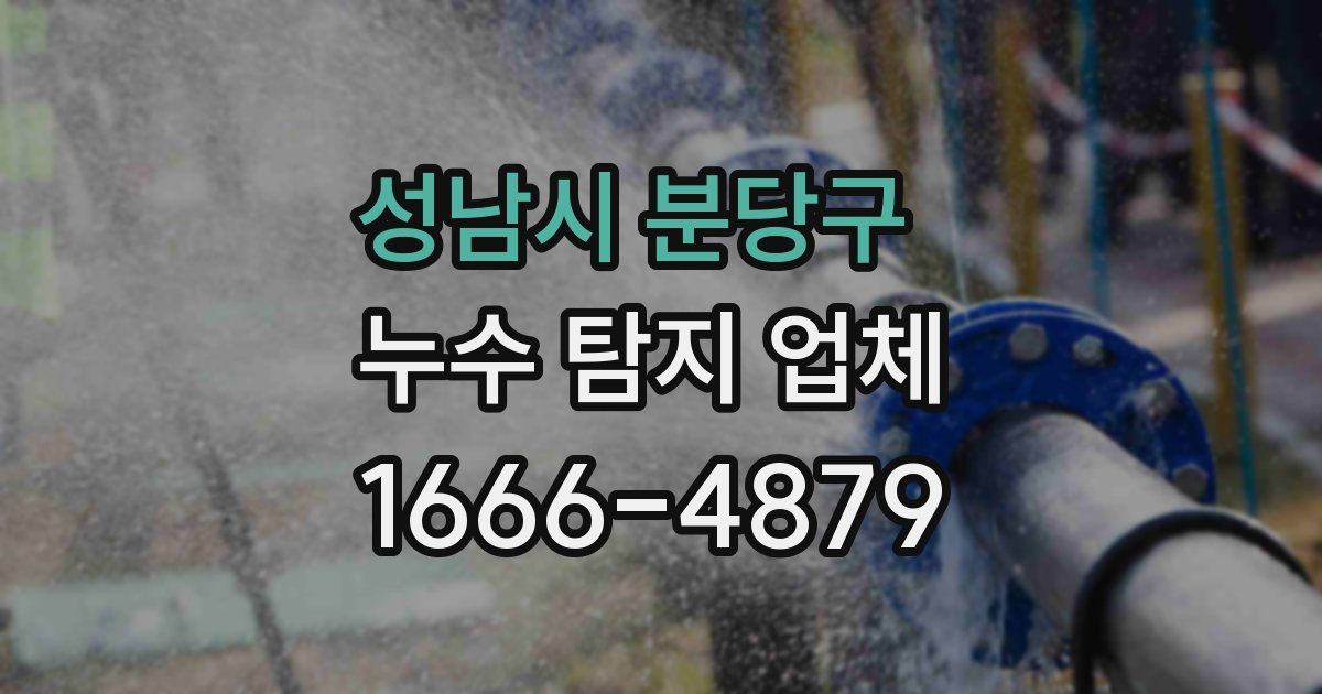 성남시 분당구 누수 탐지 업체