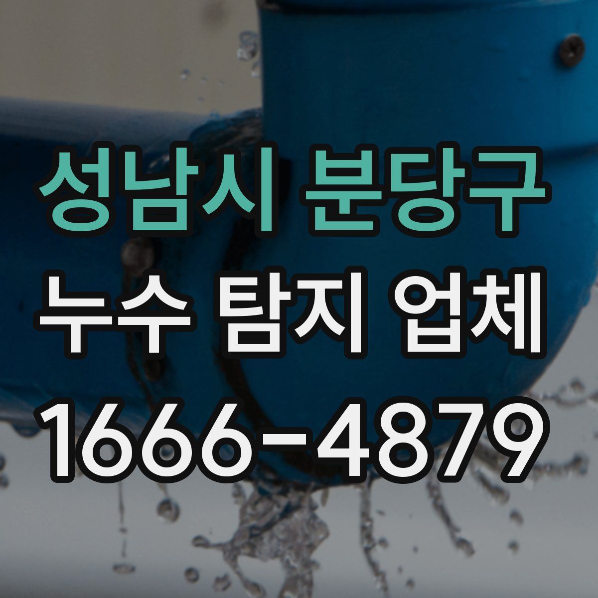 성남시 분당구 누수 탐지 업체