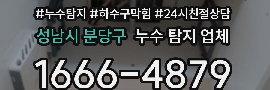 성남시 분당구 누수 탐지 업체