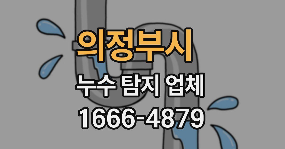 의정부시 누수 탐지 업체