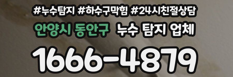 안양시 동안구 누수 탐지 업체