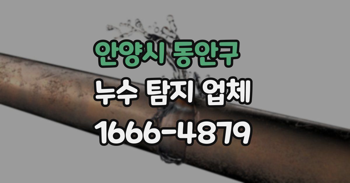 안양시 동안구 누수 탐지 업체