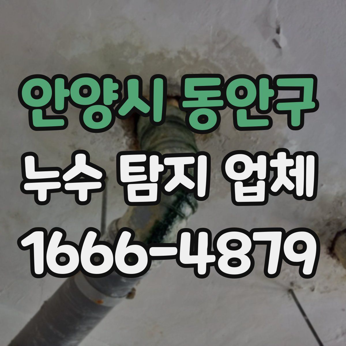 안양시 동안구 누수 탐지 업체