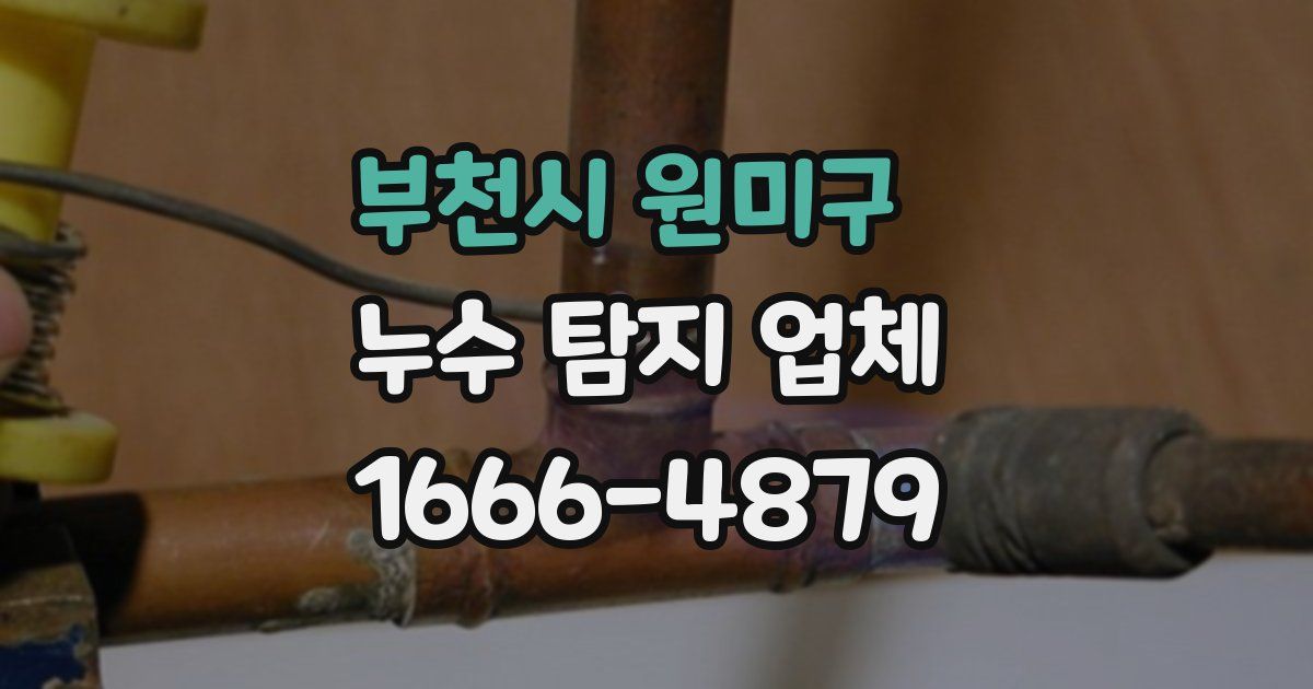 부천시 원미구 누수 탐지 업체