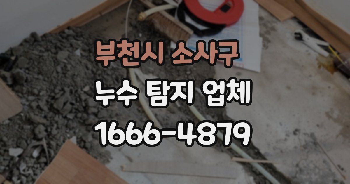 부천시 소사구 누수 탐지 업체