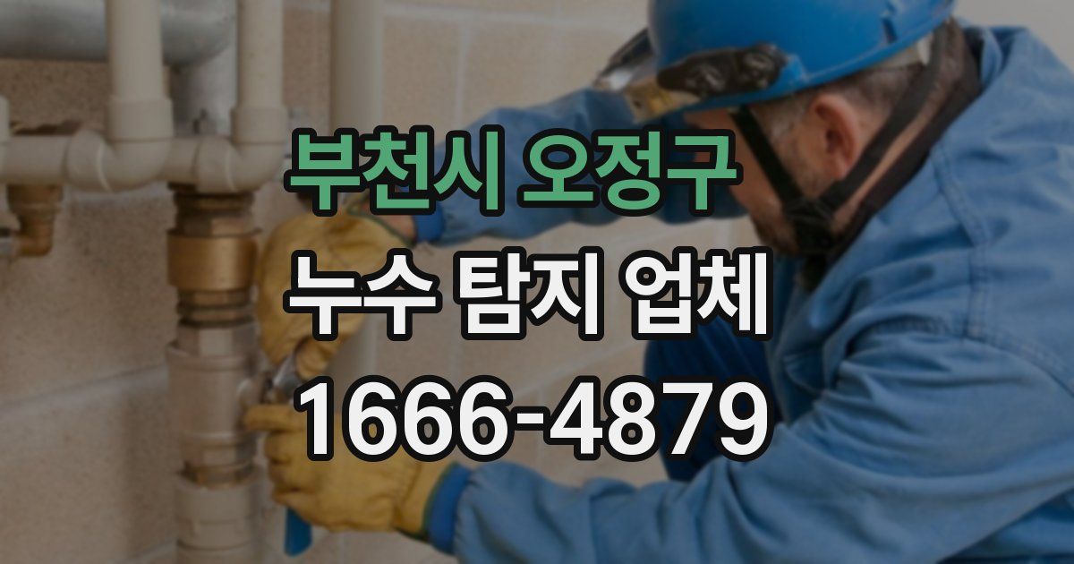 부천시 오정구 누수 탐지 업체