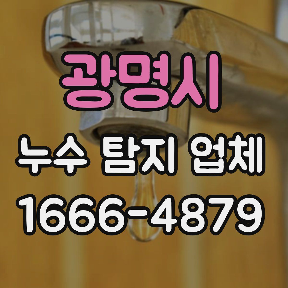 광명시 누수 탐지 업체