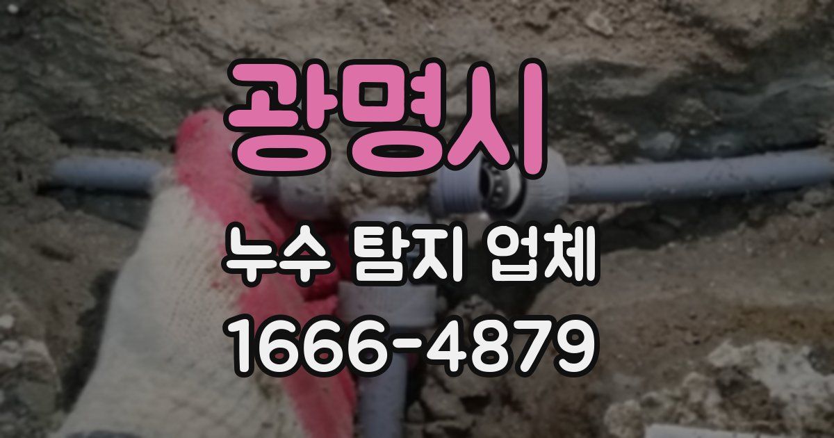 광명시 누수 탐지 업체